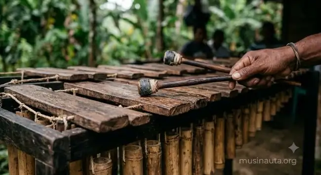 Marimba de chonta del Pacífico colombiano, instrumento raíz del currulao
