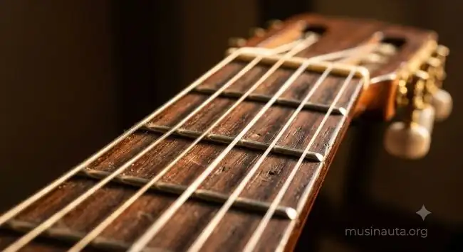 Primer plano de las cuerdas y el diapasón de una guitarra española de madera