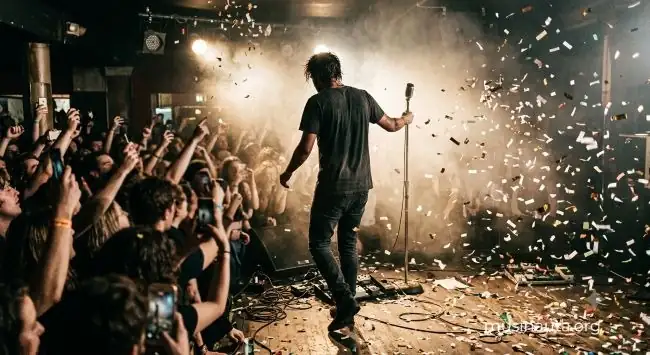Silueta de un artista actuando de espaldas ante un multitudinario concierto de pop, con luces potentes, humo y confetti en el escenario.